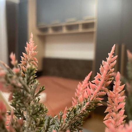 Daf Apartaments Πρίστινα Εξωτερικό φωτογραφία